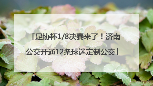 足协杯1/8决赛来了！济南公交开通12条球迷定制公交