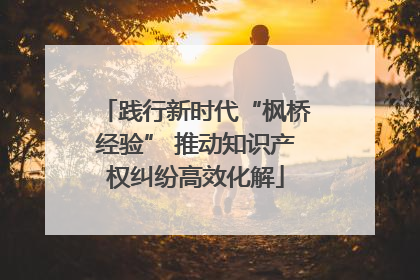 践行新时代“枫桥经验” 推动知识产权纠纷高效化解