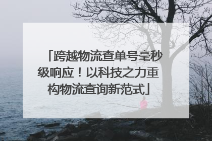 跨越物流查单号毫秒级响应！以科技之力重构物流查询新范式