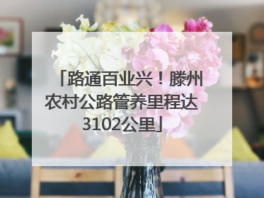 路通百业兴！滕州农村公路管养里程达3102公里