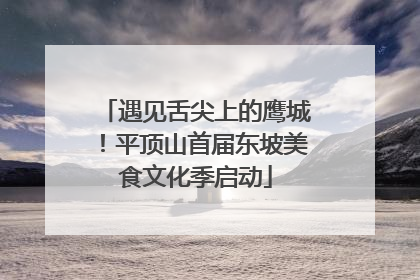 遇见舌尖上的鹰城！平顶山首届东坡美食文化季启动