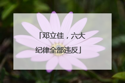 邓立佳，六大纪律全部违反