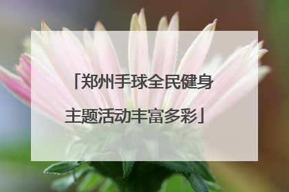 郑州手球全民健身主题活动丰富多彩