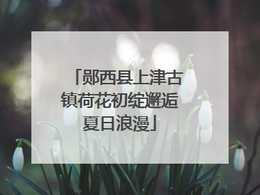 郧西县上津古镇荷花初绽邂逅夏日浪漫