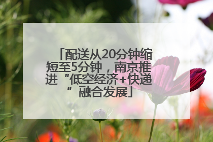 配送从20分钟缩短至5分钟，南京推进“低空经济+快递”融合发展
