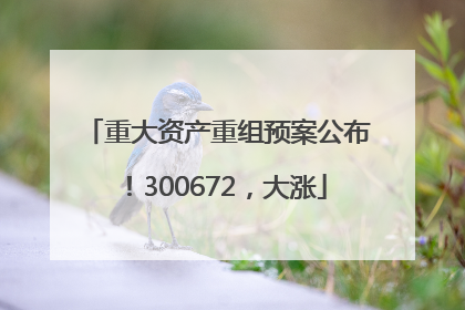 重大资产重组预案公布！300672，大涨