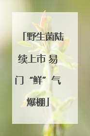 野生菌陆续上市 易门“鲜”气爆棚