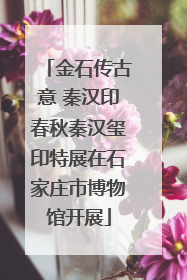 金石传古意 秦汉印春秋秦汉玺印特展在石家庄市博物馆开展