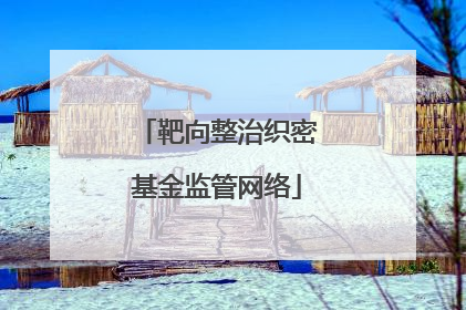 靶向整治织密基金监管网络