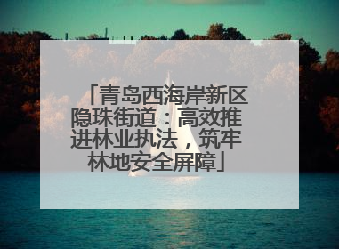 青岛西海岸新区隐珠街道：高效推进林业执法，筑牢林地安全屏障