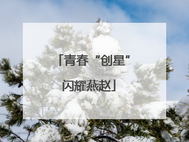 青春“创星” 闪耀燕赵