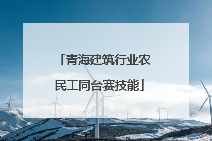 青海建筑行业农民工同台赛技能