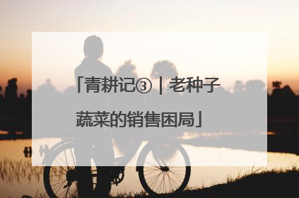 青耕记③｜老种子蔬菜的销售困局