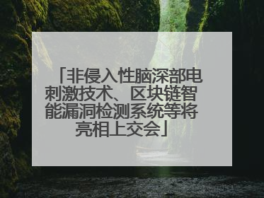 非侵入性脑深部电刺激技术、区块链智能漏洞检测系统等将亮相上交会