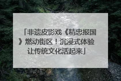 非遗皮影戏《精忠报国》燃动街区！沉浸式体验让传统文化活起来