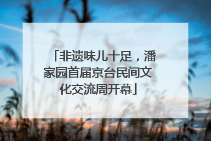 非遗味儿十足，潘家园首届京台民间文化交流周开幕