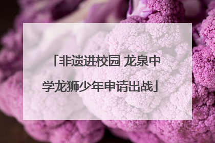 非遗进校园 龙泉中学龙狮少年申请出战