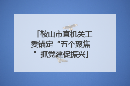 鞍山市直机关工委锚定“五个聚焦”抓党建促振兴