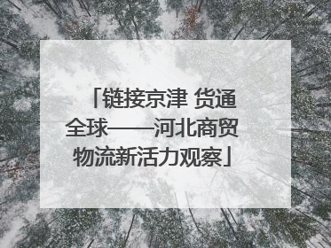 链接京津 货通全球——河北商贸物流新活力观察