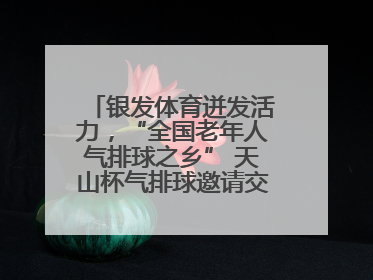 银发体育迸发活力，“全国老年人气排球之乡” 天山杯气排球邀请交流赛举行