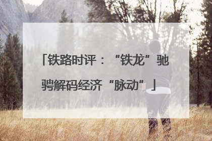 铁路时评：“铁龙”驰骋解码经济“脉动”