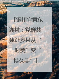铜川宜君东湖村：党群共建让乡村从“一时美”变“持久美”
