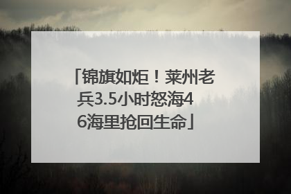 锦旗如炬！莱州老兵3.5小时怒海46海里抢回生命