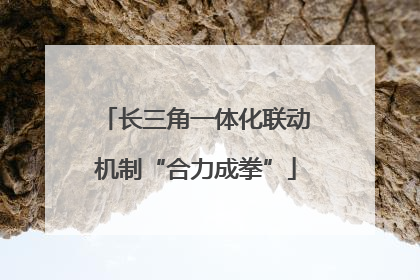 长三角一体化联动机制“合力成拳”