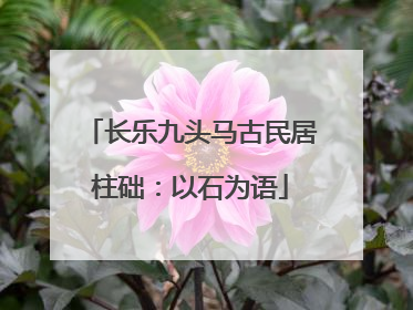 长乐九头马古民居柱础：以石为语