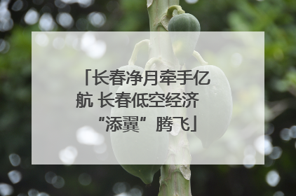 长春净月牵手亿航 长春低空经济“添翼”腾飞