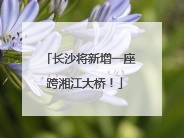长沙将新增一座跨湘江大桥！