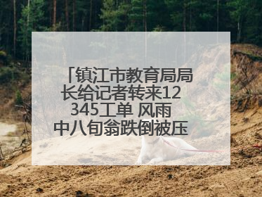 镇江市教育局局长给记者转来12345工单 风雨中八旬翁跌倒被压电瓶车下，扶不扶？镇江高职学子选择令人钦佩