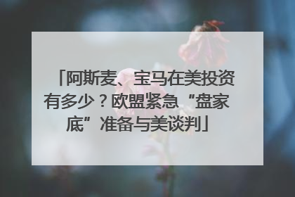 阿斯麦、宝马在美投资有多少？欧盟紧急“盘家底”准备与美谈判