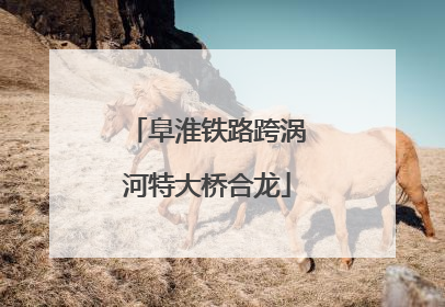 阜淮铁路跨涡河特大桥合龙