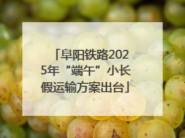 阜阳铁路2025年“端午”小长假运输方案出台