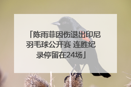 陈雨菲因伤退出印尼羽毛球公开赛 连胜纪录停留在24场