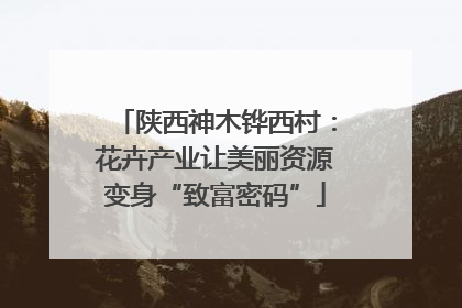 陕西神木铧西村：花卉产业让美丽资源变身“致富密码”