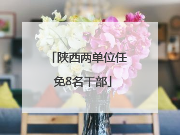 陕西两单位任免8名干部