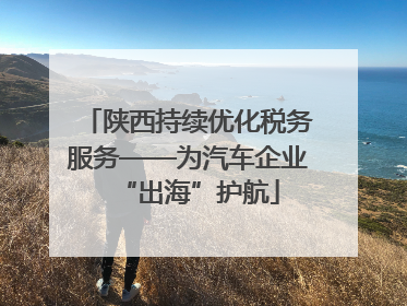 陕西持续优化税务服务——为汽车企业“出海”护航