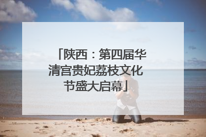 陕西：第四届华清宫贵妃荔枝文化节盛大启幕