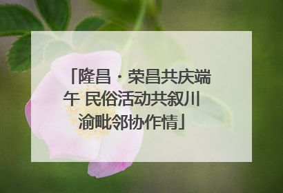 隆昌・荣昌共庆端午 民俗活动共叙川渝毗邻协作情