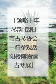 领略千年琴韵 岳阳市古琴协会一行参观岳阳楼博物馆古琴展