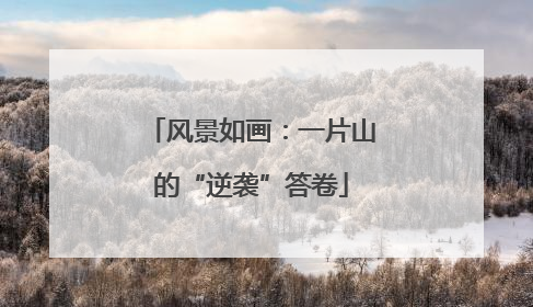 风景如画：一片山的“逆袭”答卷