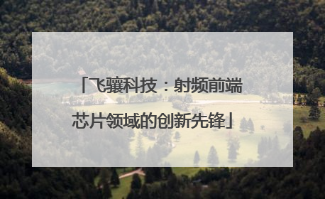 飞骧科技：射频前端芯片领域的创新先锋