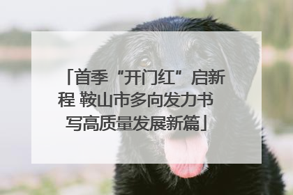 首季“开门红”启新程 鞍山市多向发力书写高质量发展新篇