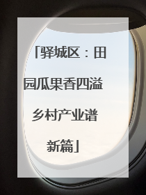 驿城区：田园瓜果香四溢 乡村产业谱新篇