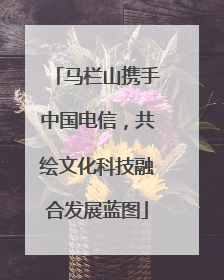 马栏山携手中国电信，共绘文化科技融合发展蓝图