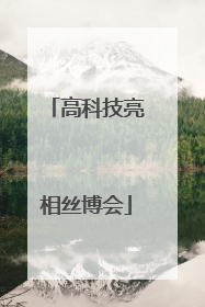 高科技亮相丝博会