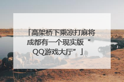 高架桥下乘凉打麻将 成都有一个现实版“QQ游戏大厅”