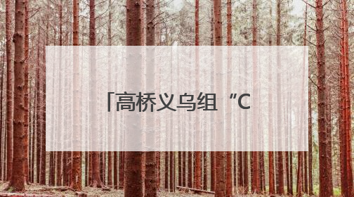 高桥义乌组“CP”，打造湘非贸易“超级接口”